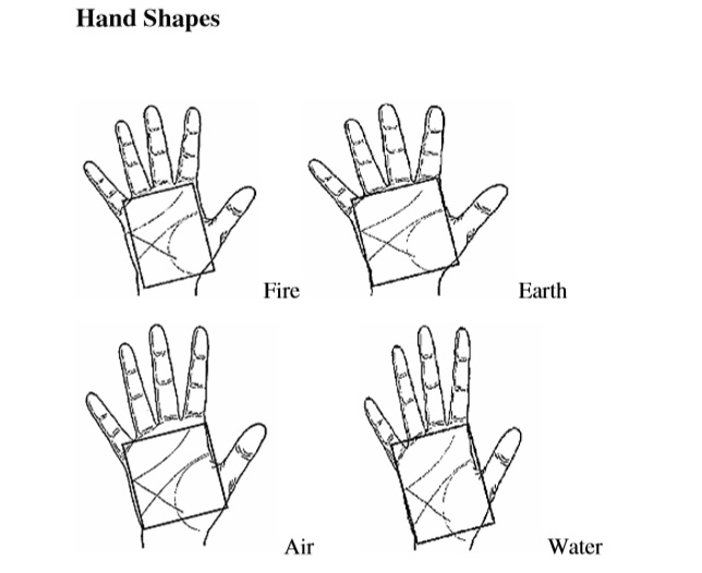 Palm types illustration
