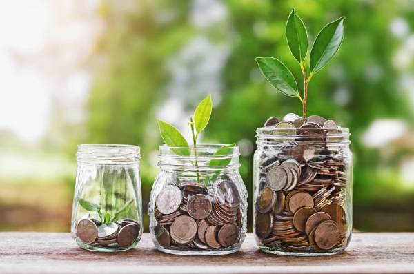 Wealth guidance